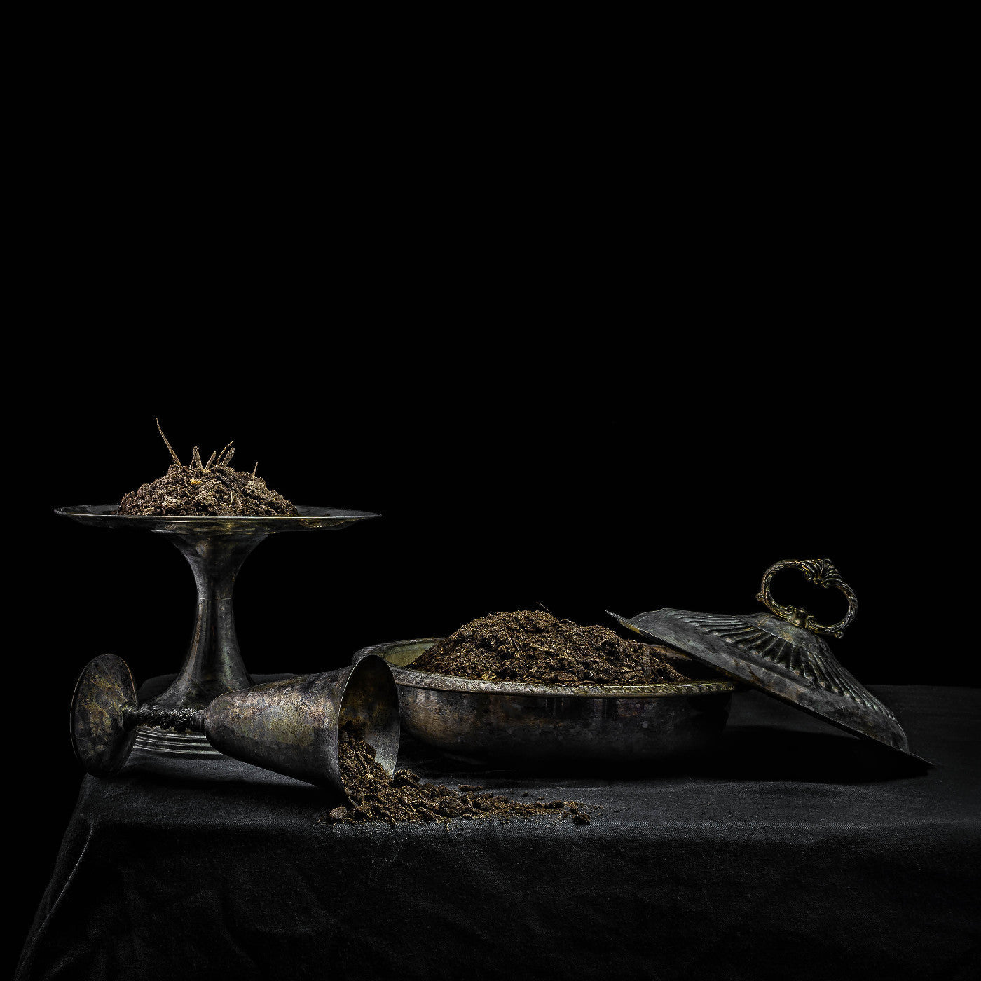 All We Have Is Never (Purple Vinyl) (Vinyl)