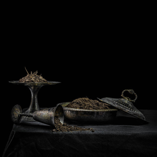 All We Have Is Never (Purple Vinyl) (Vinyl)