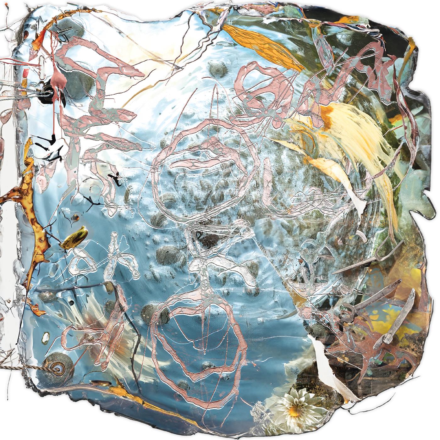 I Am Toward You (CD)