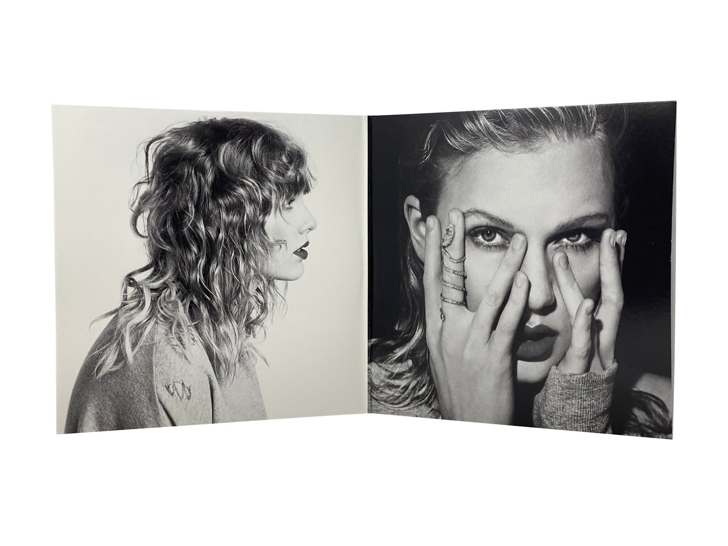 Taylor Swift - Reputation (Limited Edition Double Picture Disc Vinyl)