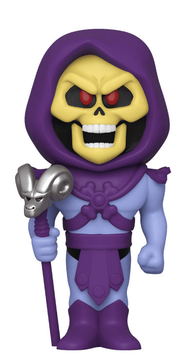 Vinyl Soda: Television (MOTU), Skeletor