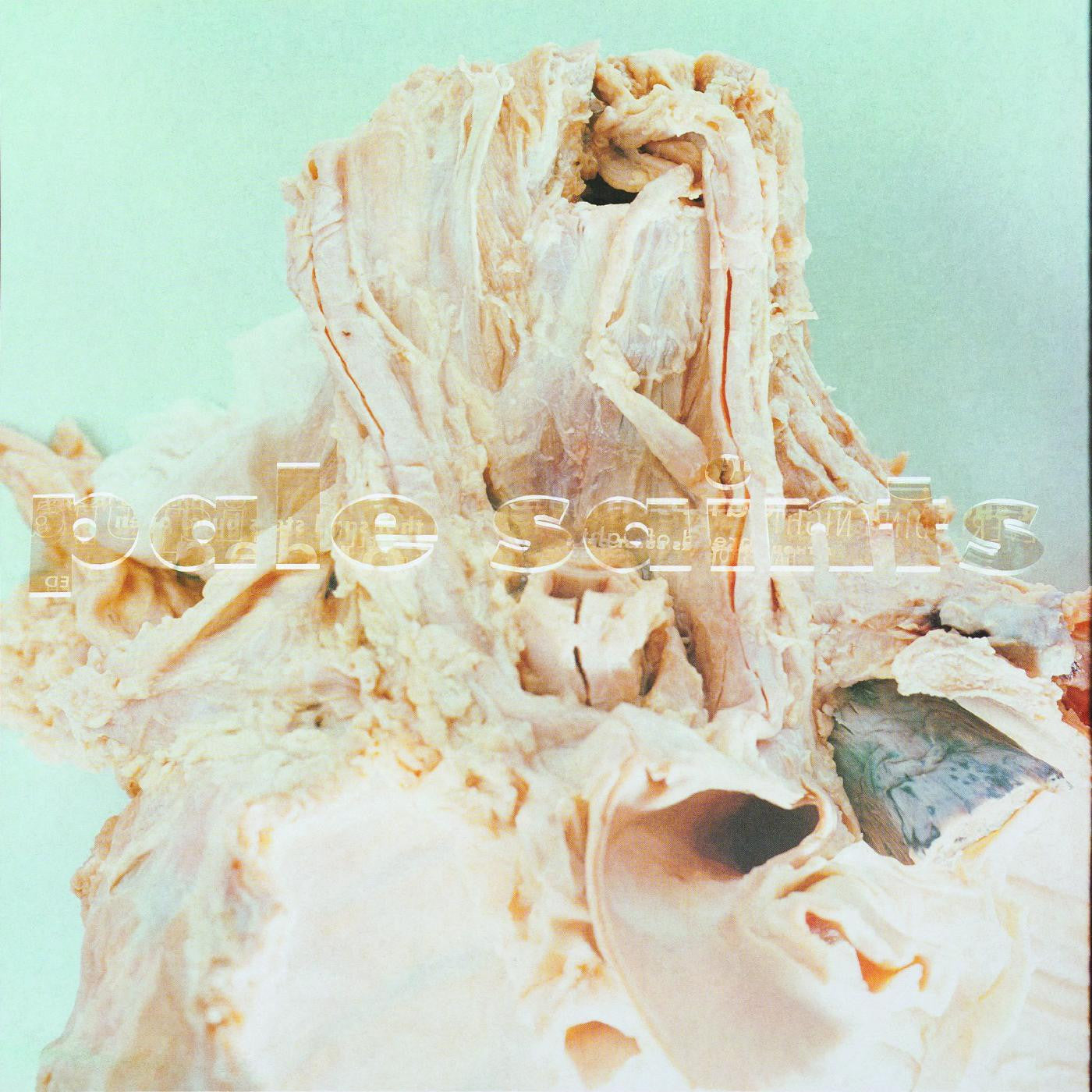 In Ribbons [30th Anniversary] (Vinyl)