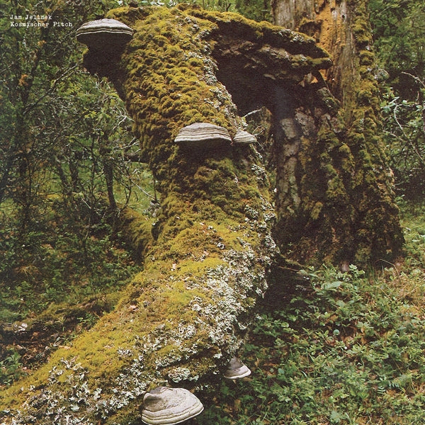 Kosmischer Pitch (Vinyl)