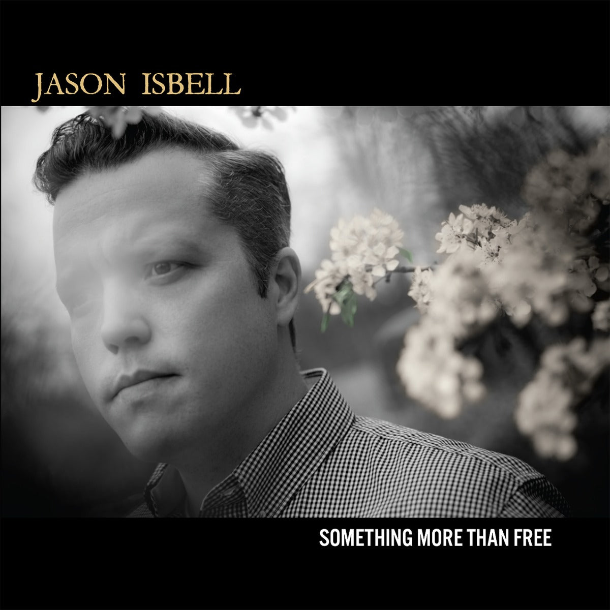 Something More Than Free (10 Year Anniversary Edition) [2LP] (Vinyl)