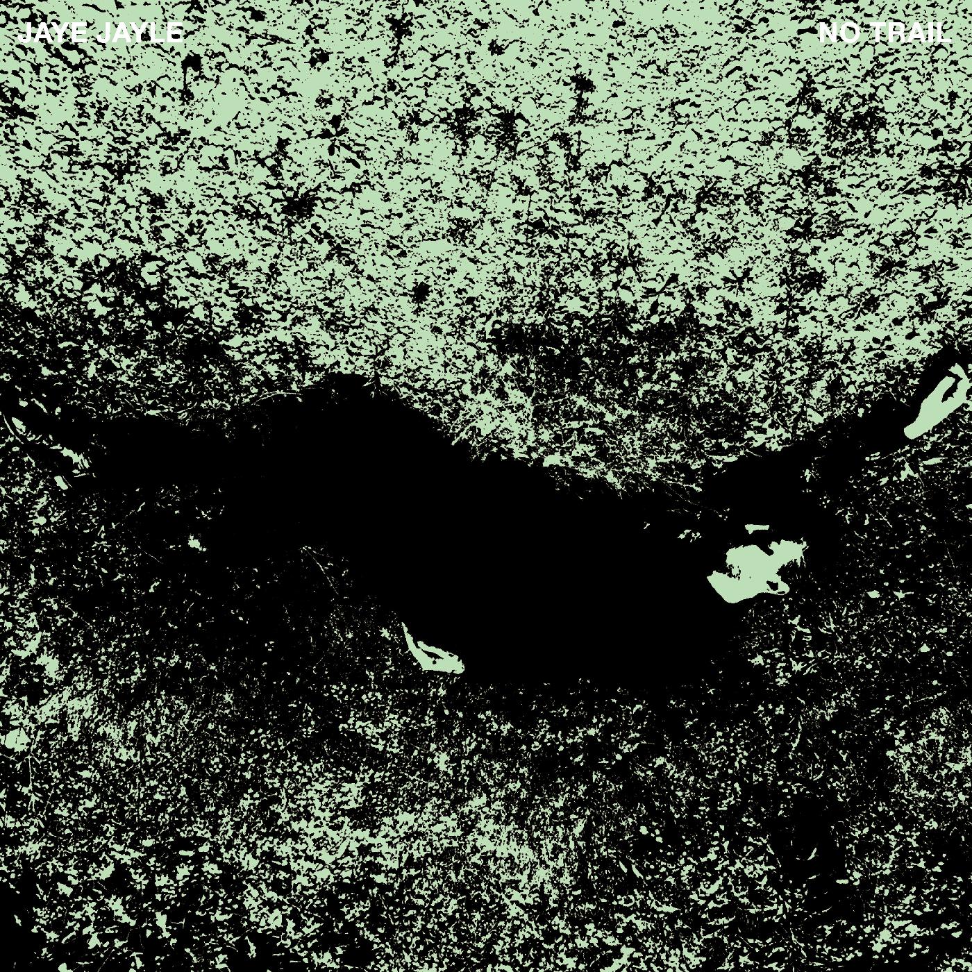 No Trail and Other Unholy Paths (Vinyl) - Golden Apple Comics
