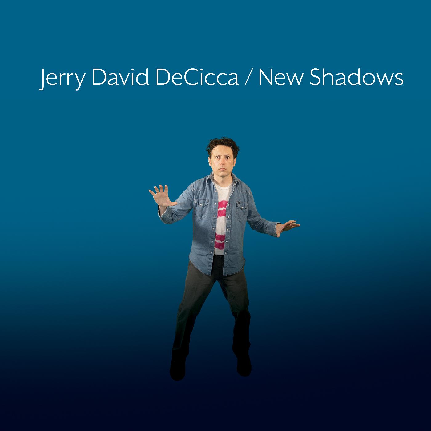 New Shadows (Vinyl)