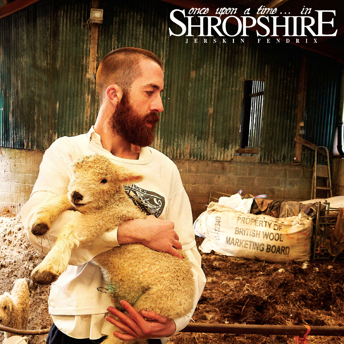 Once Upon A Time. . . In Shropshire (Shropspire Mud Brown Vinyl) (Vinyl)