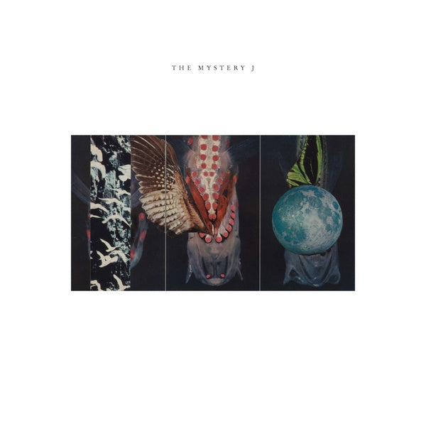 The Mystery J (Vinyl)