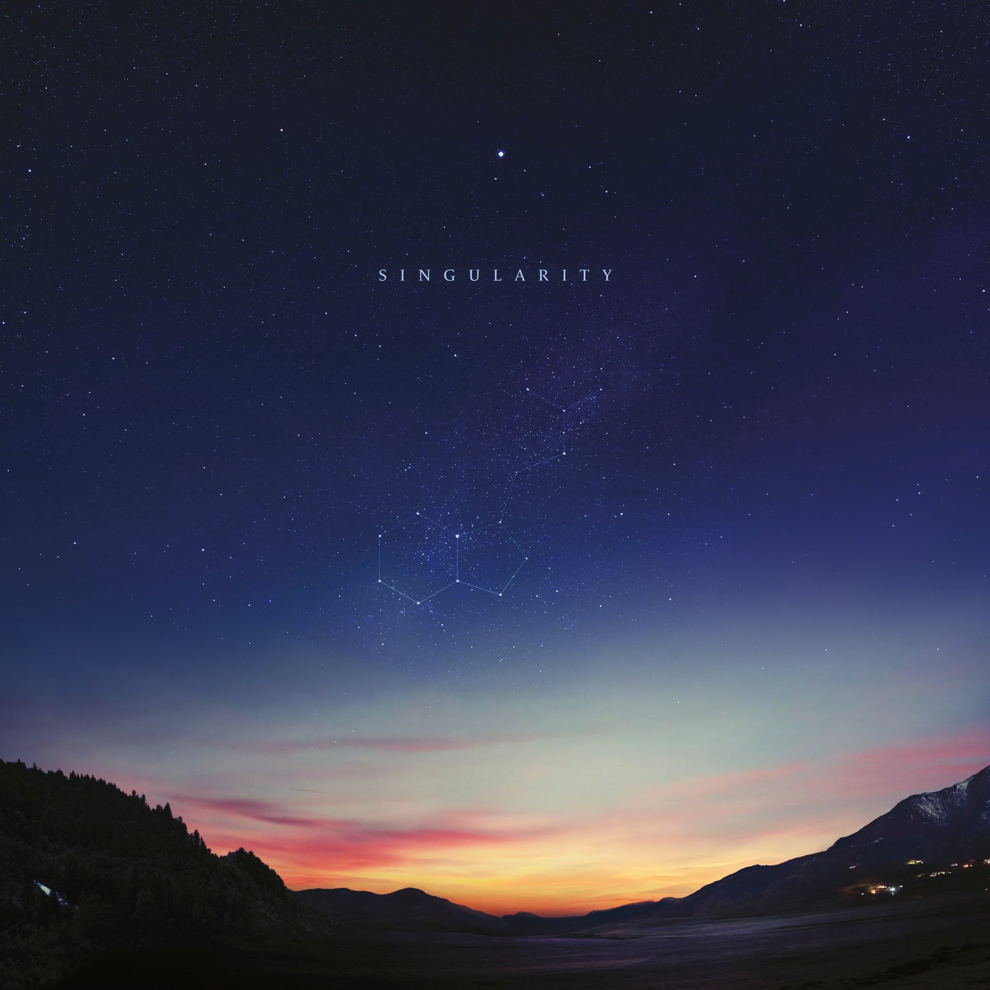 Singularity (Vinyl)