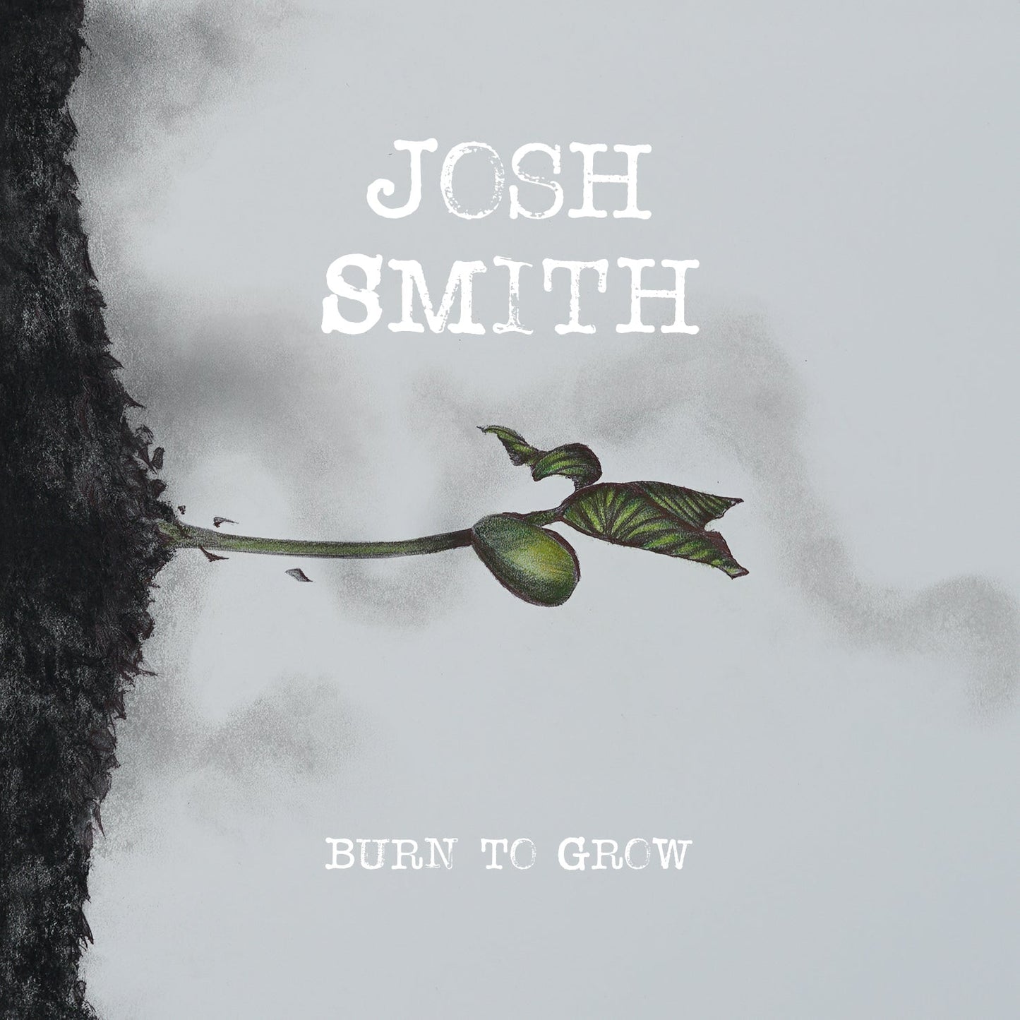 Burn To Grow [CD]