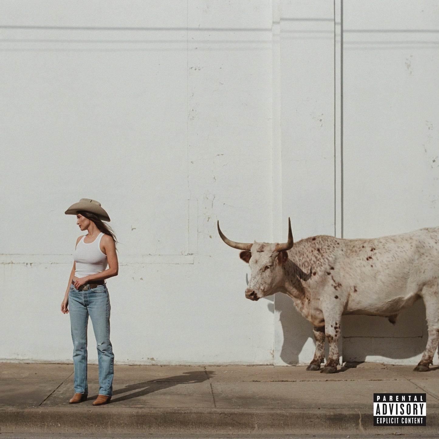Middle Of Nowhere [Whiskey Vinyl] [Vinyl]