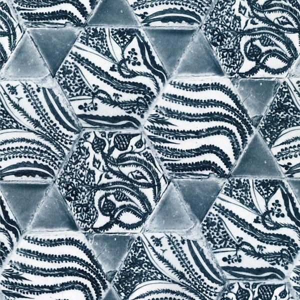 Disclosure (CD)