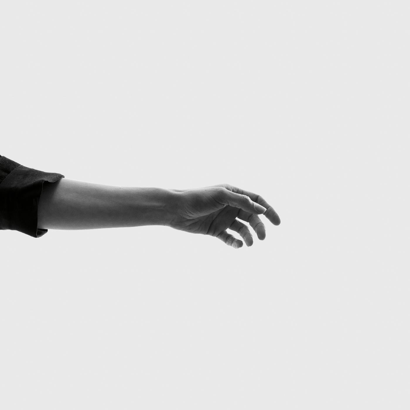 Limbs (CD)