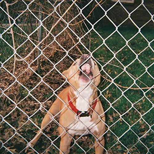 Pop Culture [Beer & Bone W/ Evergreen Splatter Vinyl] [Vinyl]