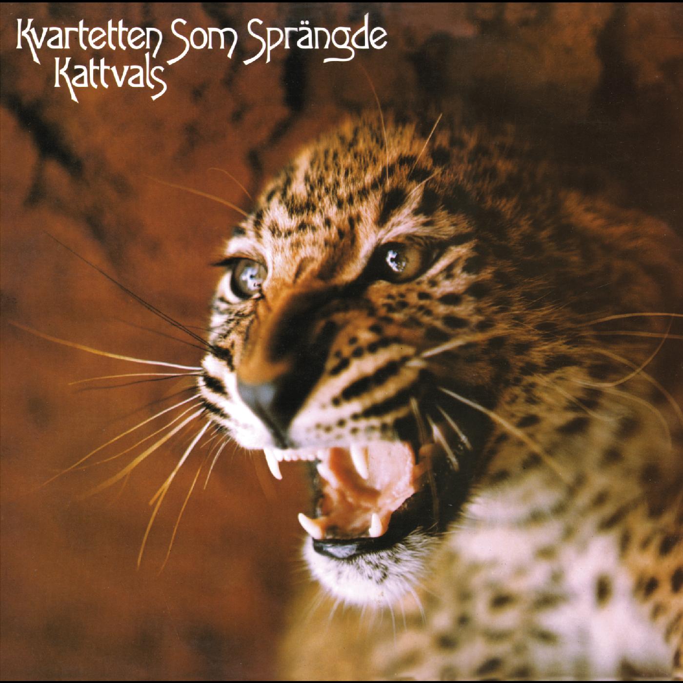 Kattvals (DELUXE EDITION, PSYCHEDELIC SPLATTER VINYL) (Vinyl)