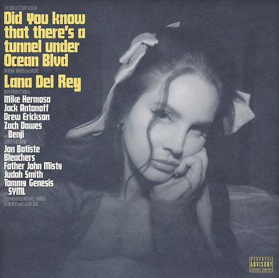 Did you know that there’s a tunnel under Ocean Blvd (CD)