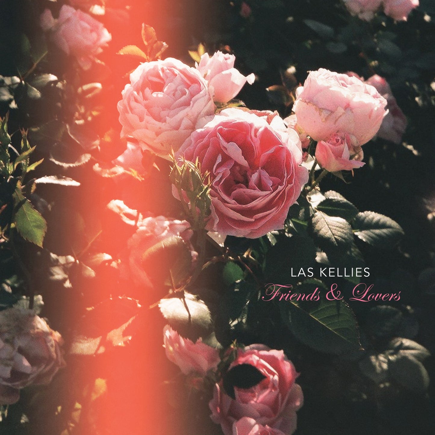 Friends & Lovers (Vinyl)