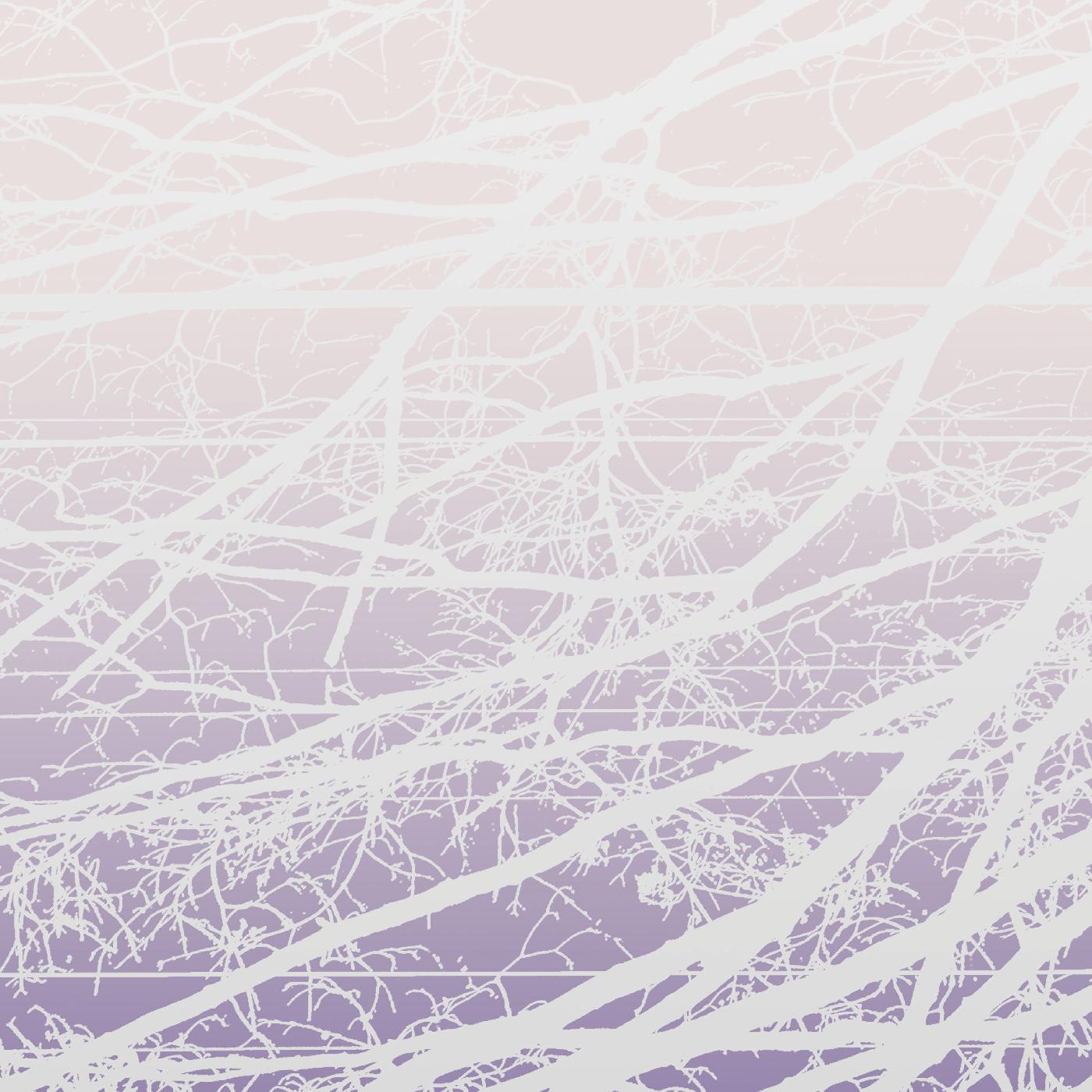Metal Aether / Resonant Field (Vinyl)