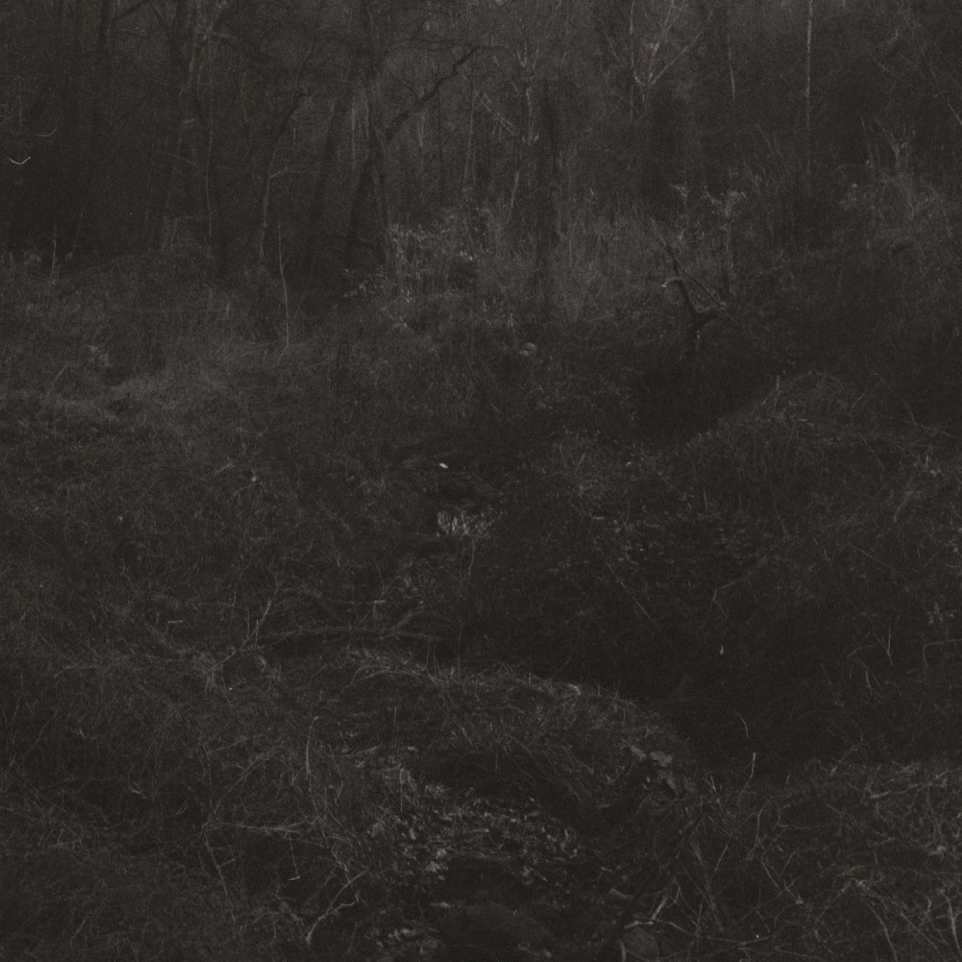 Lesley Mok - Transient [Vinyl]