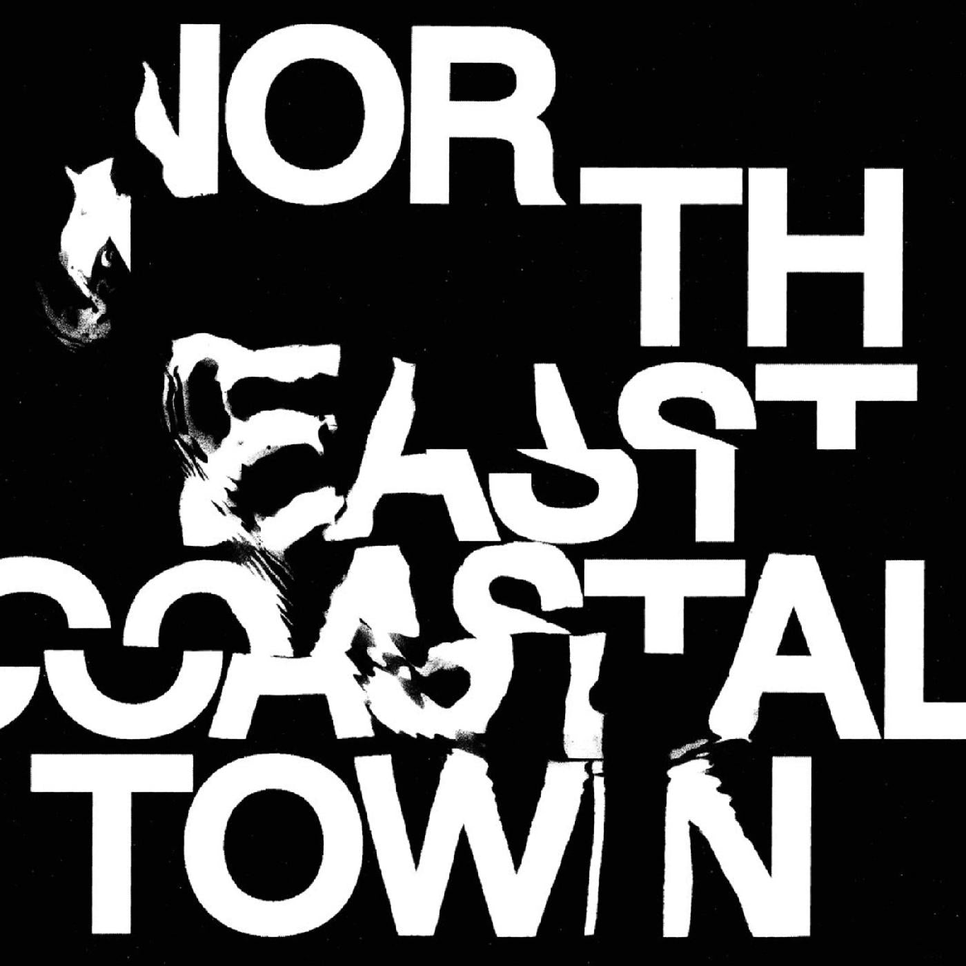 North East Coastal Town (GREEN VINYL) (Vinyl) - Golden Apple Comics