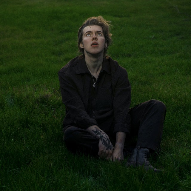 A Hometown Odyssey (Vinyl)