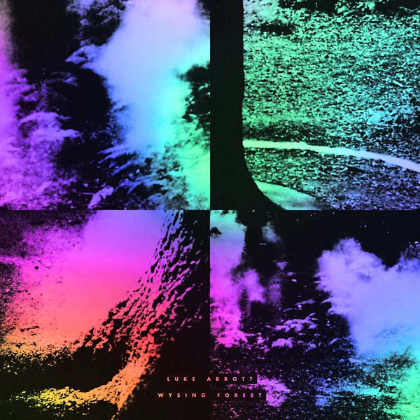 Wysing Forest (CD) - Golden Apple Comics