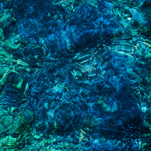 Luminescent Creatures (Vinyl)