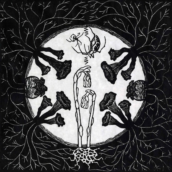 Tarantism (Vinyl) - Golden Apple Comics