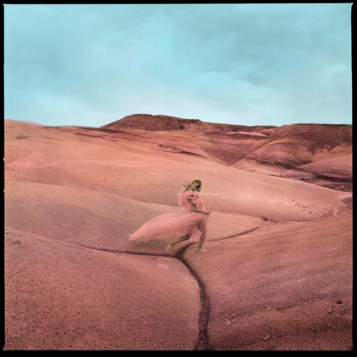 Strays (Limited Edition, Purple Swirl Colored Vinyl, Bonus Flexi-7" Single) (Vinyl)