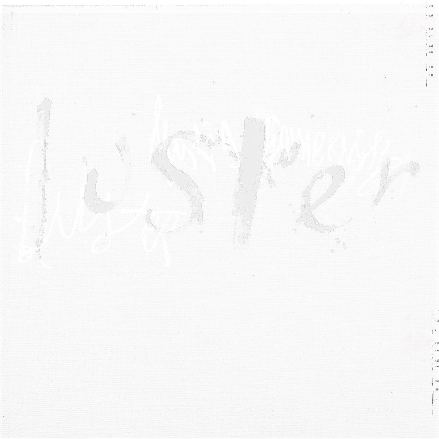 Luster (Clear Vinyl) (Vinyl)