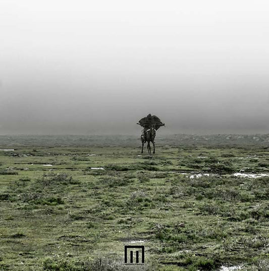 Figure In Field (Vinyl)