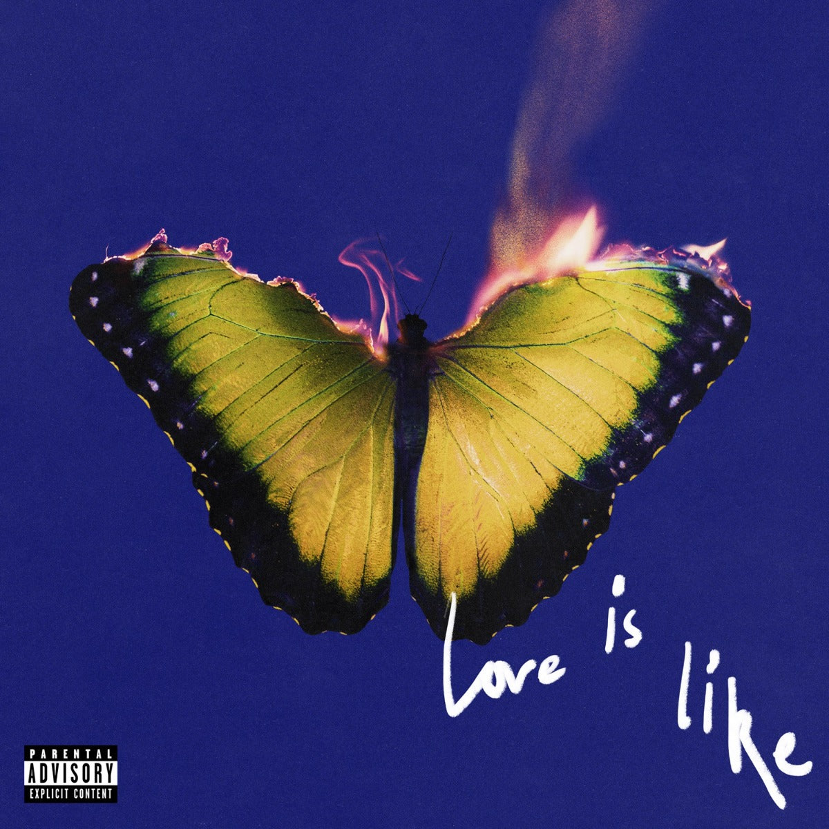 Love Is Like (Yellow Marble Vinyl) (Vinyl)