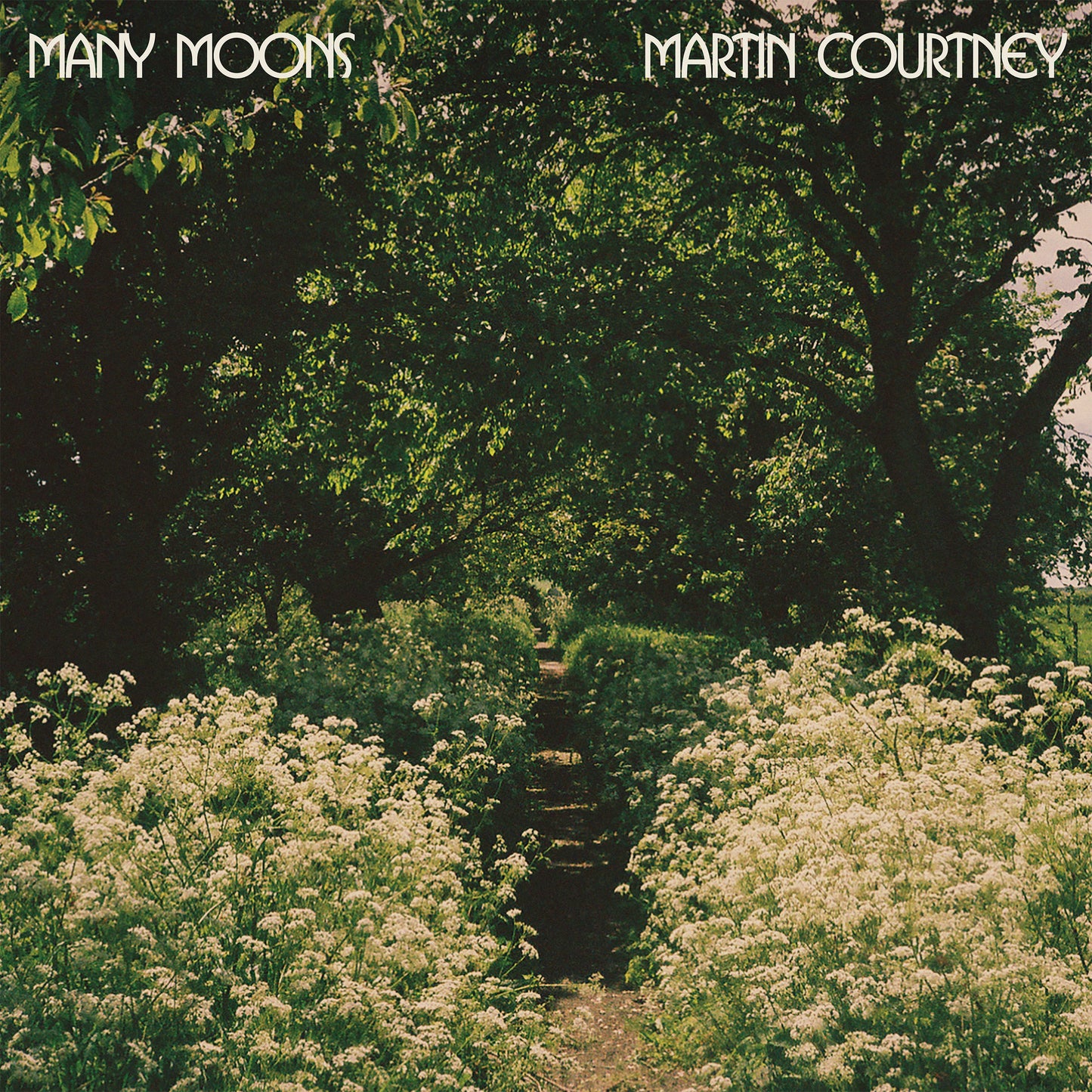 Many Moons (CD)
