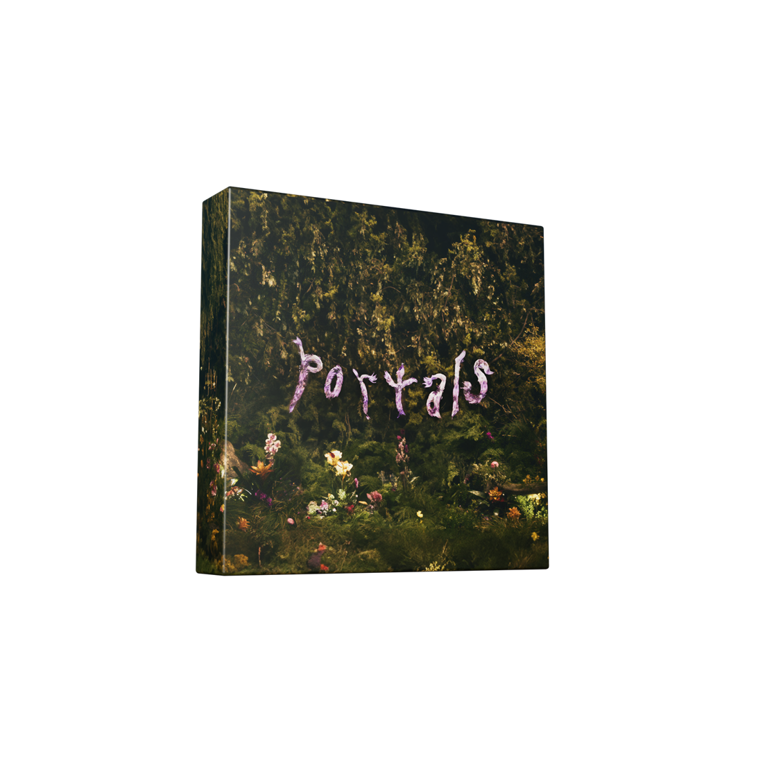 Portals (Deluxe) [2LP Vinyl] (Vinyl)