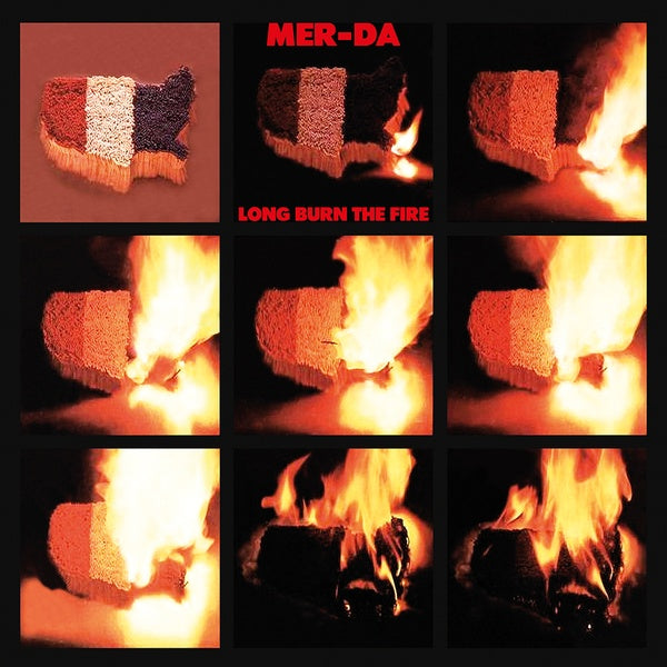 Long Burn The Fire (Vinyl)
