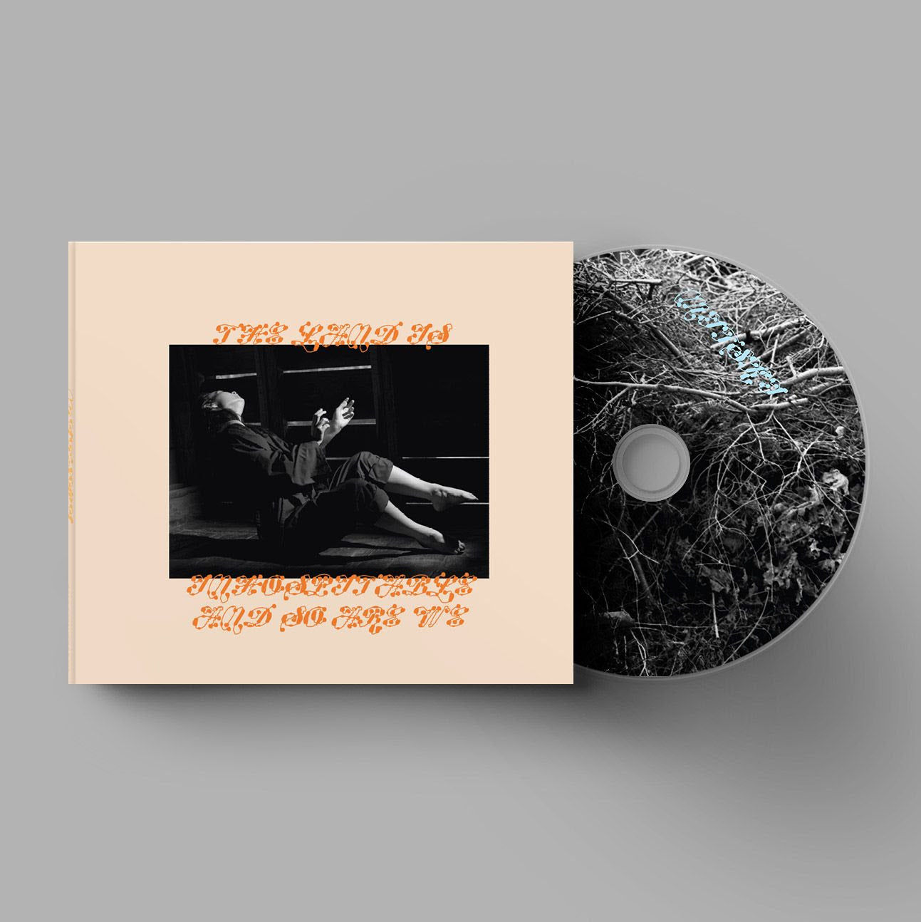 The Land Is Inhospitable and So Are We (CD)
