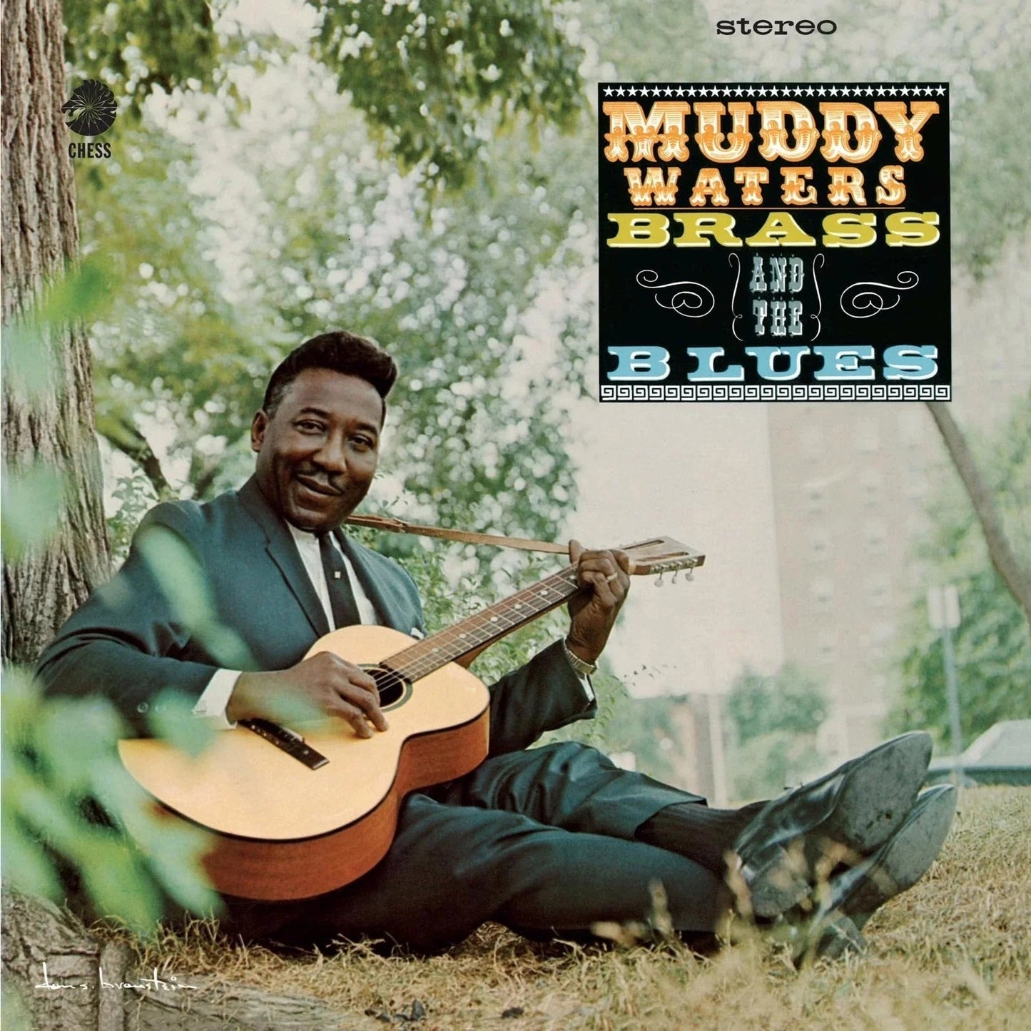 Muddy Waters - Muddy, Brass And The Blues (Chess Acoustic Sounds Series) [180G LP] [Vinyl]