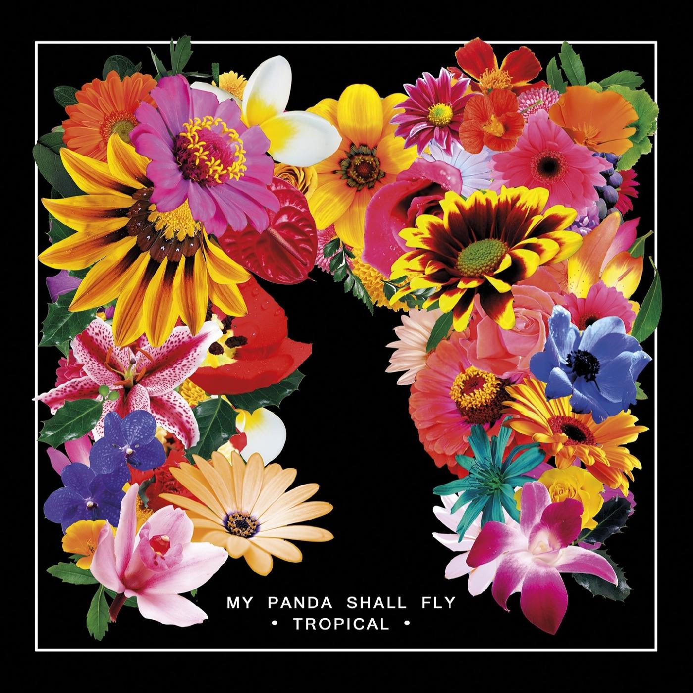 Tropical (Vinyl)