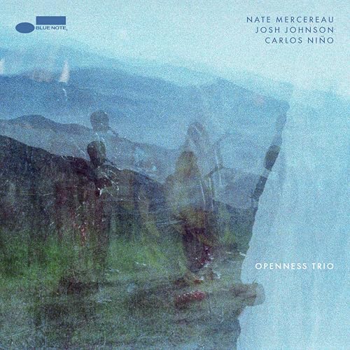 Openness Trio [180G Lp] (Vinyl)