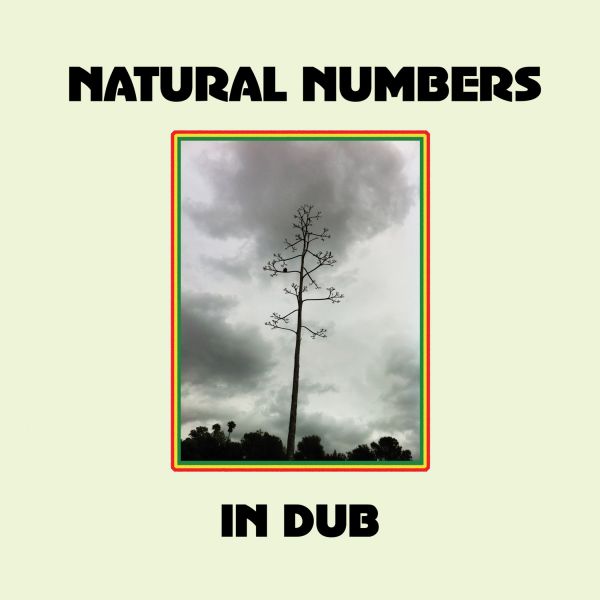 Natural Numbers in Dub (Vinyl) - Golden Apple Comics