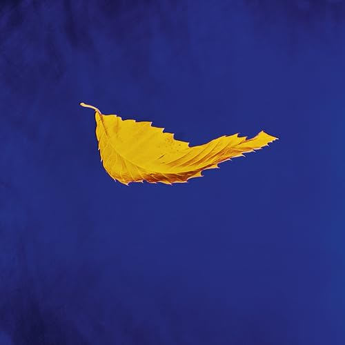 New Order True Faith (2023 Remaster) [Vinyl]
