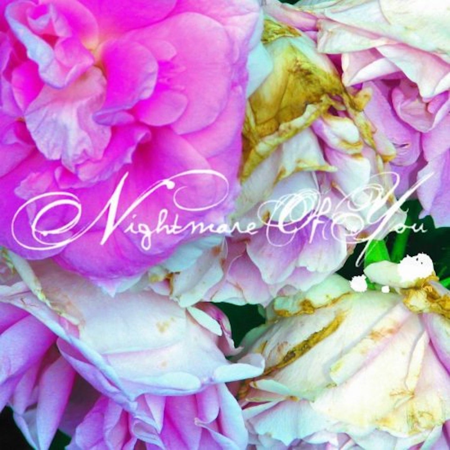 Nightmare Of You [Vinyl]