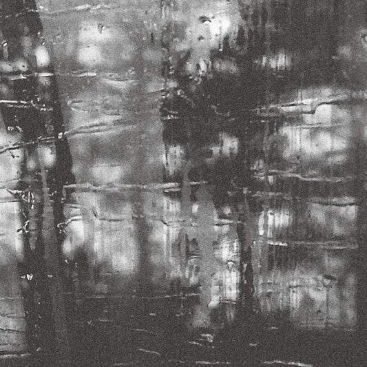 After Vacation (Vinyl)