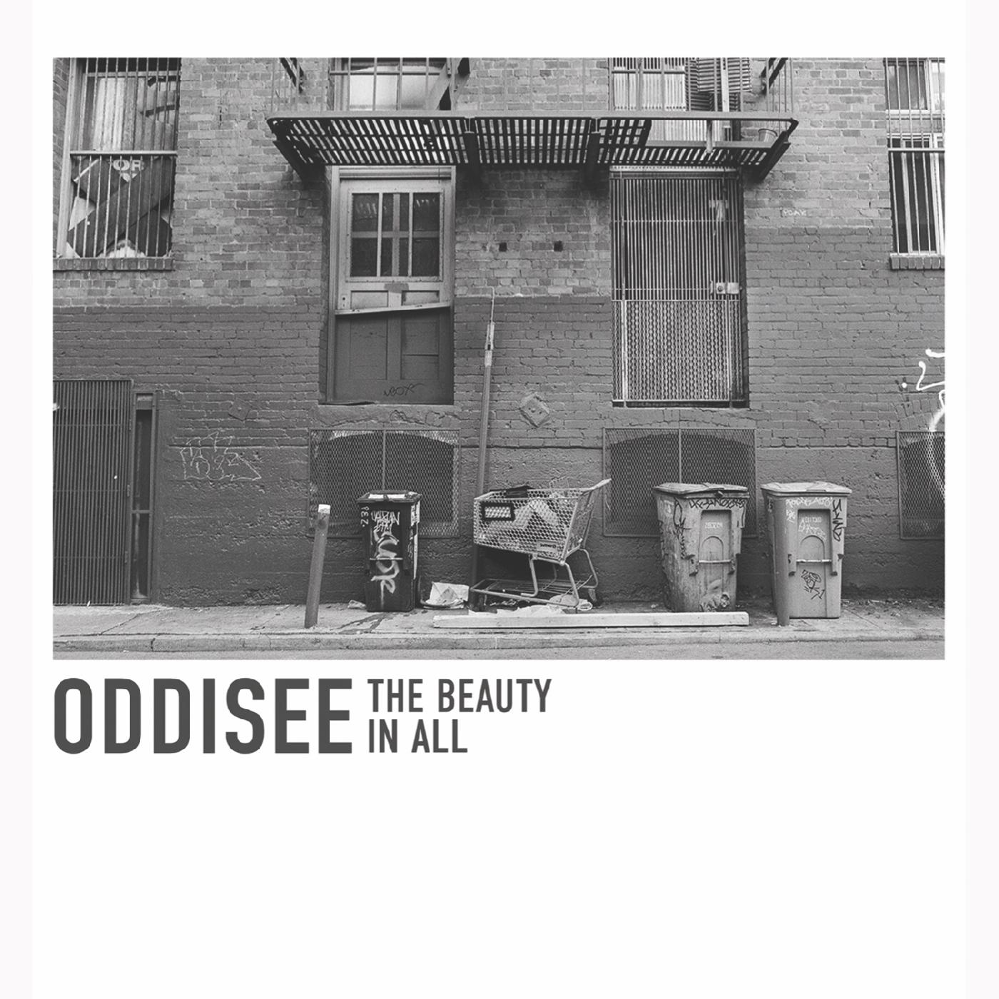 The Beauty In All (WHITE VINYL) (Vinyl)