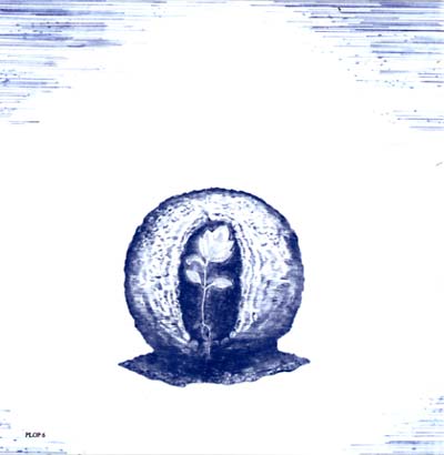 Swaying Boldly Afar (CD)