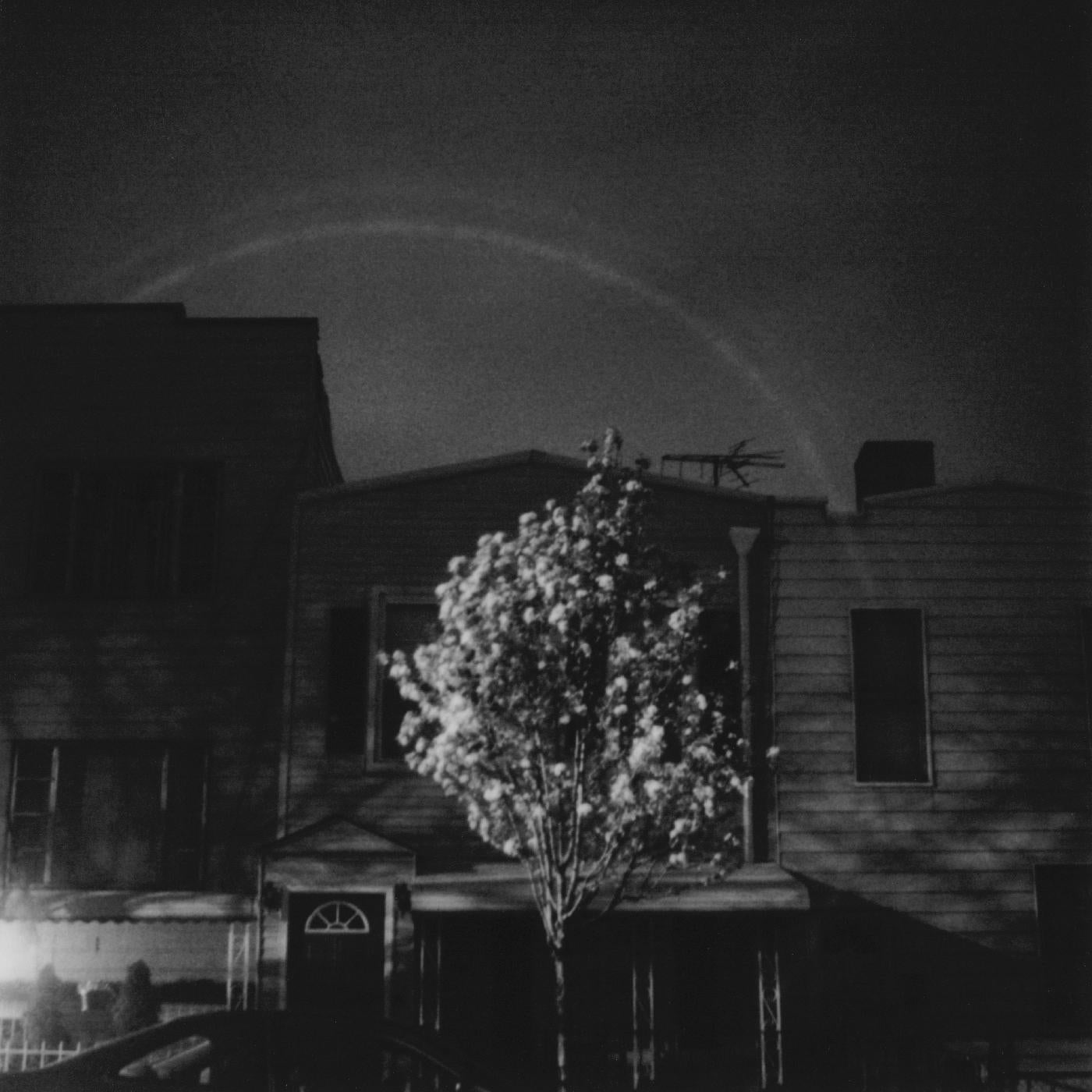 Hands In The Honey Jar (DARK CYAN & WHITE VINYL) (Vinyl) - Golden Apple Comics