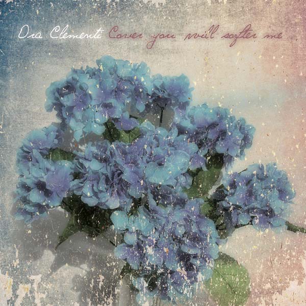 Cover you will softer me (Vinyl) - Golden Apple Comics