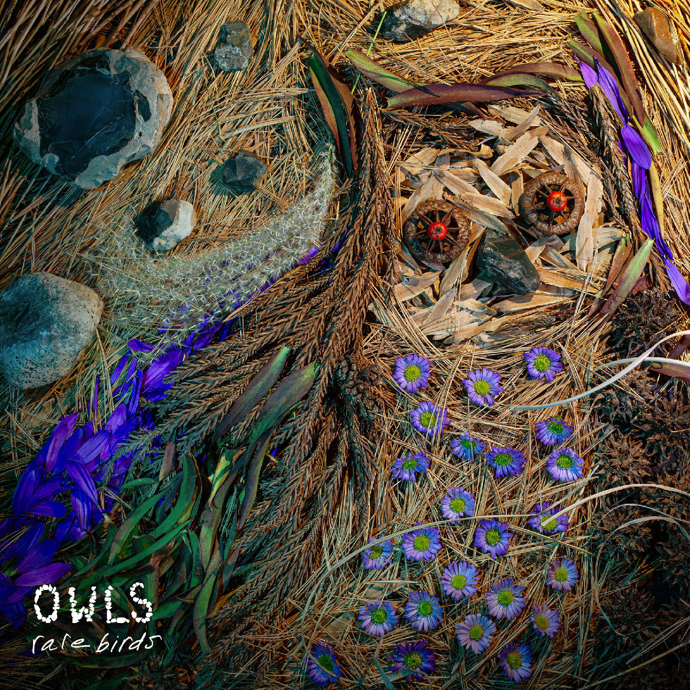 Rare Birds (CD)