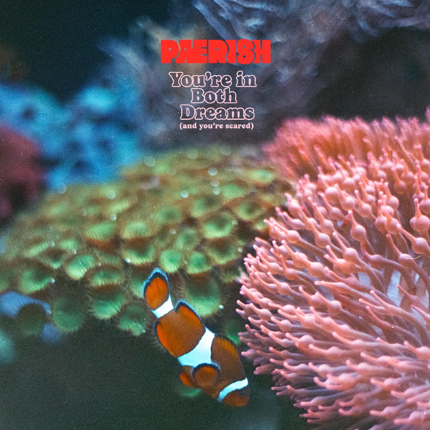 You're in both dreams (and you're scared) (Vinyl)