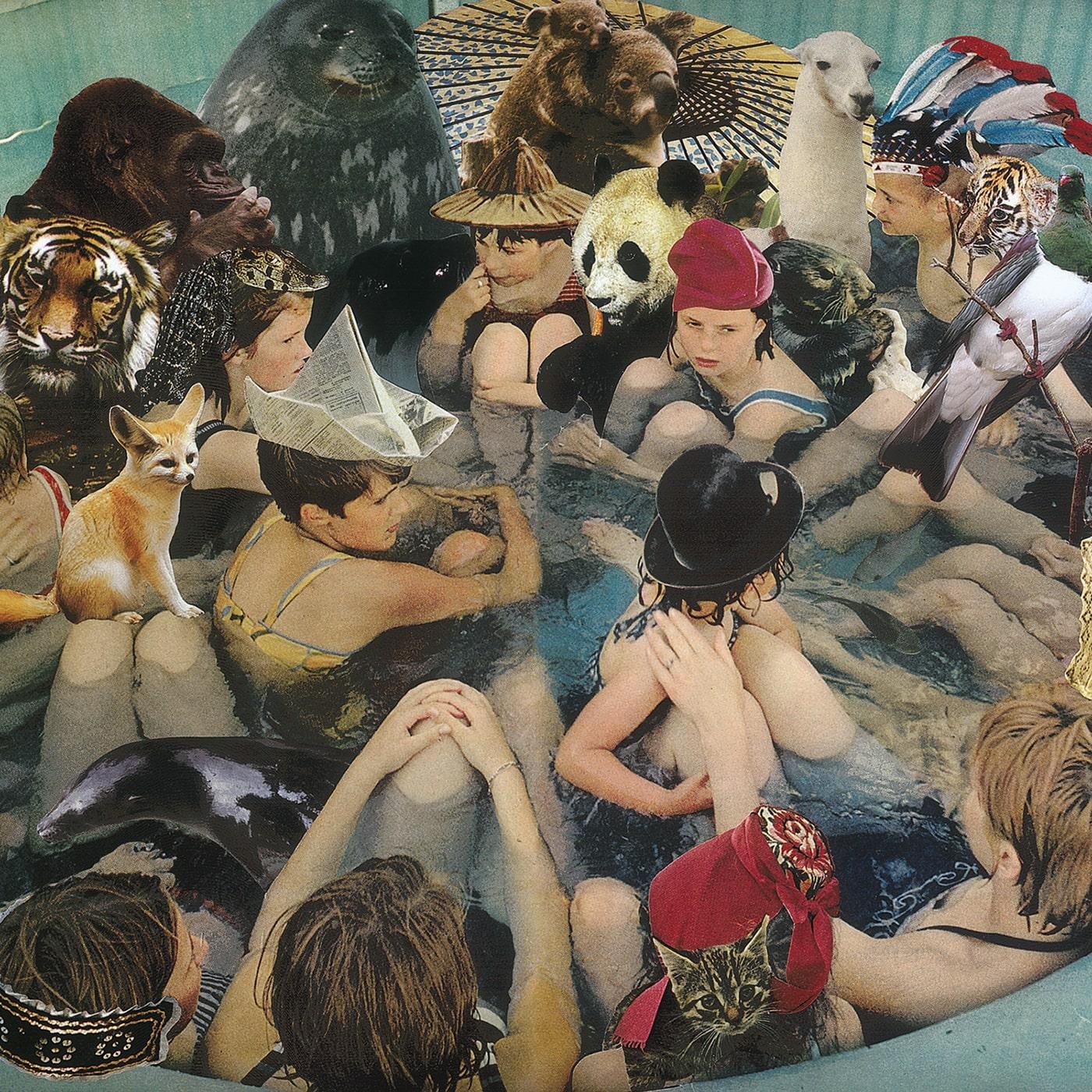 Person Pitch (Vinyl)